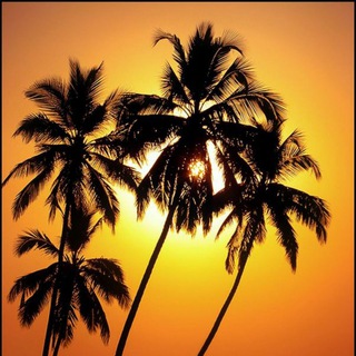 टेलीग्राम चैनल का लोगो goanewsrus — Goa News