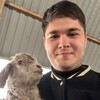 Telegram channel Goat farm logo