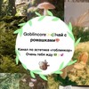 Логотип телеграм канала @goblincoremagicwich — Goblincore ✨🌿| чай с ромашками☕🌼