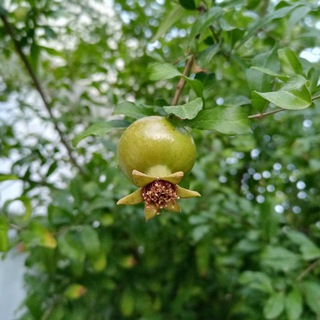 Logo of telegram channel god_is_withus — 🍀أتـرك أثـراً قَبلَ آلرحيل