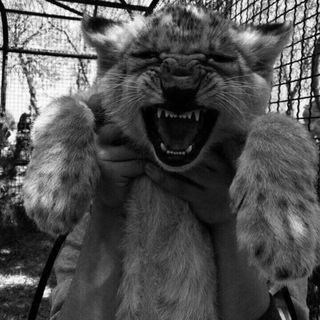 Логотип телеграм канала @godn33ss — Честь и отвага🫀