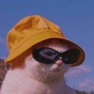 Логотип телеграм канала @gofffurther — Мои любимые мемы