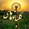 Logo saluran telegram golbanohay_babelkenar — گلبانوهای بابلکنار