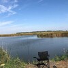 Логотип телеграм канала @gold_fish_sns — Золотая рыбка, Старонижестеблиевская