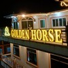 Logo of telegram channel goldenhorsecasino — GOLDEN HORSE