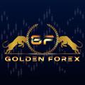 Logo saluran telegram goldenoptionfxt — GOLDEN FOREX SIGNALS (Free)