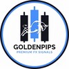 Logo of telegram channel goldenpipsschool — GoldenPips School