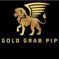 Logo saluran telegram goldgrabpip — 𝗚𝗢𝗟𝗗 𝗚𝗥𝗔𝗕 𝗣𝗜𝗣𝗦™🤑
