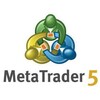 Logo of telegram channel goldmetatrader5 — META TRADER 5 FREE SIGNALS 🌎
