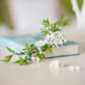 Logo saluran telegram goldouneha — گلـــــدونہ‌ها🌿