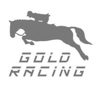 电报频道的标志 goldracing — GoldRacing資訊站