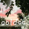 Логотип телеграм канала @goldss_iriski — 👻goldss👻