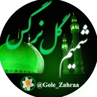 لوگوی کانال تلگرام gole_zahraa — 💕شمیم گل نرگس💕