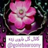 لوگوی کانال تلگرام golebaaroony — 🎧 گــ🌸ـل بـارونــ زدهـ