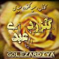 لوگوی کانال تلگرام golezardiya — 🎍کانال رسمی گلزرد عبدی🎍
