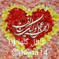 Logo saluran telegram golha14 — گلها