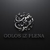 Логотип телеграм канала @golos_iz_plena — Golos iz Plena