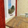 Логотип телеграм канала @golubyatnyagriboeda — 🕊️Голубь в бане🍄
