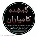 Logo saluran telegram gomshode_kamyaran — کانال گمشده کامیاران