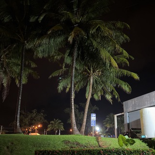 Логотип телеграм канала @gonefromrussia — Блог поехавшего из России