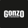 Логотип телеграм канала @gonzochertanovo — GONZO Cybersport | Чертаново