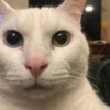 Логотип телеграм канала @goodmorning_tgc — Доброе Утро
