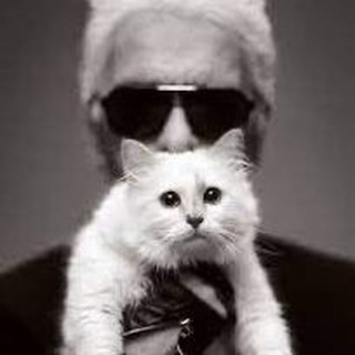Логотип телеграм канала @goodmorningkarlitintl — Good morning, Karl!