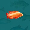 Логотип телеграм канала @goodness_t_107 — GOODNESS | самопознание | эзотерика | астрология | магия | медитации |
