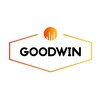 Логотип телеграм канала @goodwininvest — GoodWin