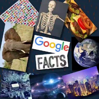 Logo of telegram channel googlefactss — Google Facts™ [ ️@googlefactss🌎]