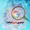 Telegram channel مردم چی سرچ میکنن!؟ logo