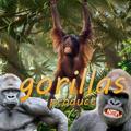 Logo saluran telegram gorillasproject — GORILLAS 🦍 CRYPTO PROJECT
