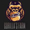 Telegram kanalining logotibi gorillasssfeed — Gorilla's Farm Feed ✍🏼