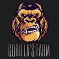 Logo of telegram channel gorillasssfeed — Gorilla's Farm Feed ✍🏼