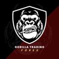 Logo saluran telegram gorillastrading — Gorilla Trading