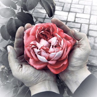 Логотип телеграм канала @gorodanet — Сбежавший горожанин.