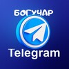 Логотип телеграм канала @gorodboguchar — Богучар в Телеграме