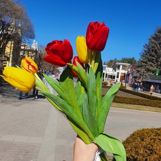 Логотип телеграм канала @gorodkislovodsk1 — Gorod_kislovodsk