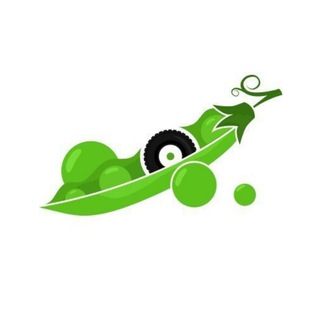 Логотип телеграм -каналу goroshinashina — Шинний центр ГороШина
