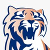 Логотип телеграм канала @gorovgor — АМБА🐅