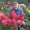 Логотип телеграм канала @gortenzeisibire — Гортензии в Сибири
