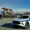 Логотип телеграм канала @gosavtoinspekcia_41 — Госавтоинспекция Камчатки