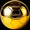 Логотип телеграм канала @goshaputs — Gosha Puts⚽️