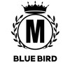 Логотип телеграм канала @gospwvs — Blue Bird (информационный)