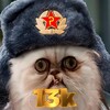 Logo of telegram channel gostodeporcarias — 𝕍𝕔 𝕤𝕠𝕙 𝕘𝕠𝕤𝕥𝕒 𝕕𝕖 ℙ𝕠𝕣𝕔𝕒𝕣𝕚𝕒𝕤