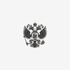 Логотип телеграм канала @goszaderzhanie — Границы Безопасности|РФ