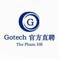 Logo saluran telegram gotechrz — 🔊 GOTECH -官方直聘 📢