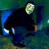 Логотип телеграм канала @govnovorot — Сранилище