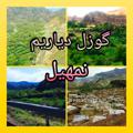 لوگوی کانال تلگرام gozalnemhilim — گوزل دياريم نمهيل