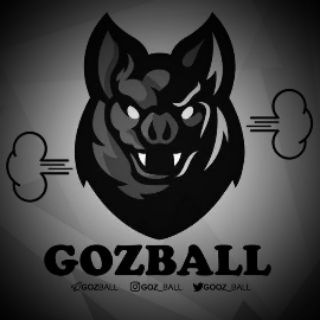 لوگوی کانال تلگرام gozball — Gozball 😂⚽